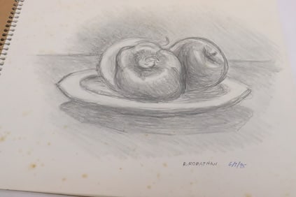 ~ 95 pencil/ color pencil drawings by Robert Robathan