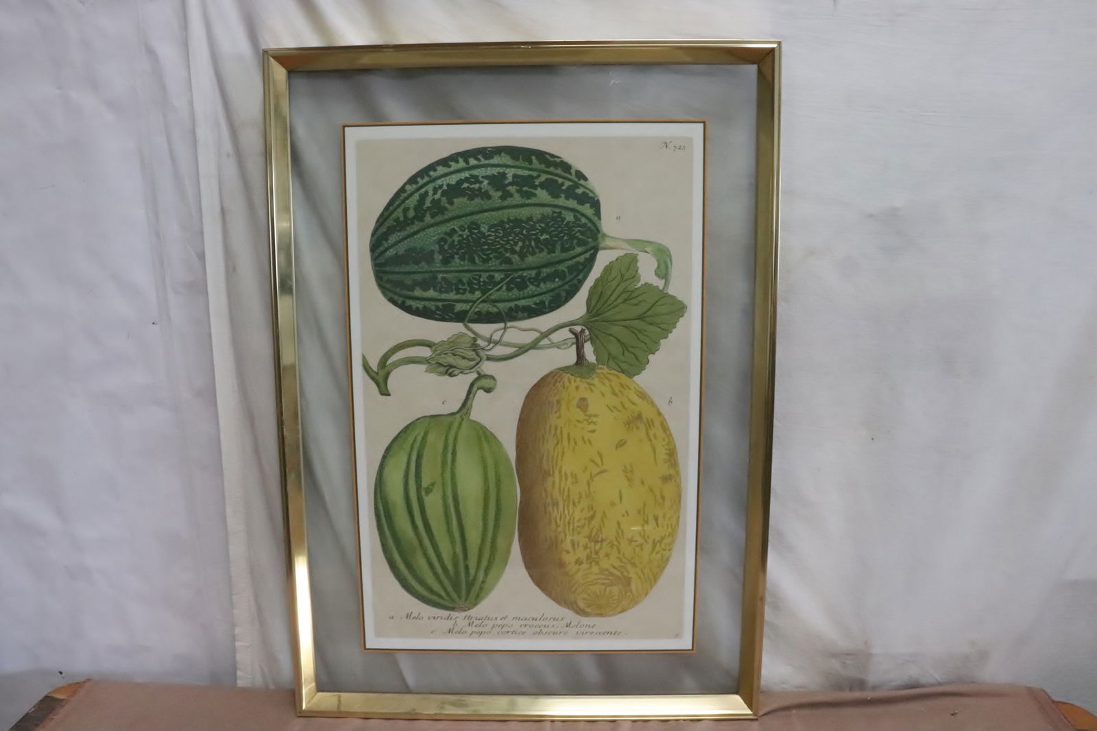 Fine vintage botanical etching (1 of 5)