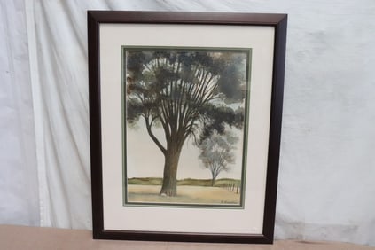 Robert Robathan watercolor "American ash", signed