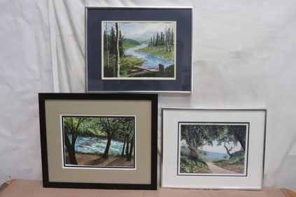 3 framed watercolors by June Robathan