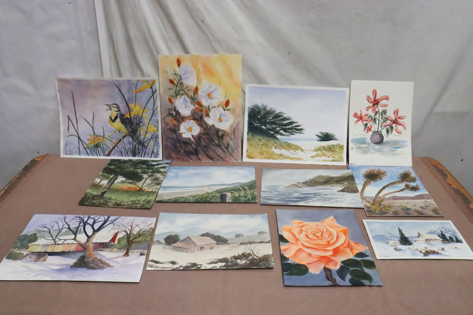 Lot of loose leaf w/c paintings by June Robathan (1 of 13)