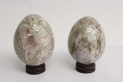 2 dinosaur bone made egg shape articles