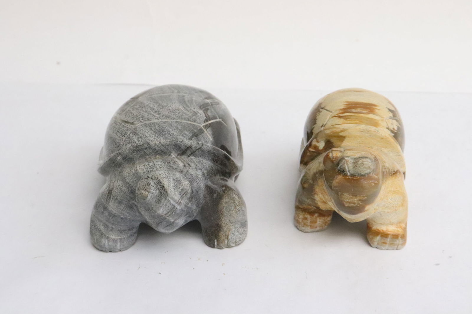 2 petrified wood carved turtles (1 of 9)