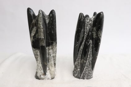 Pair large trilobite fossil towers