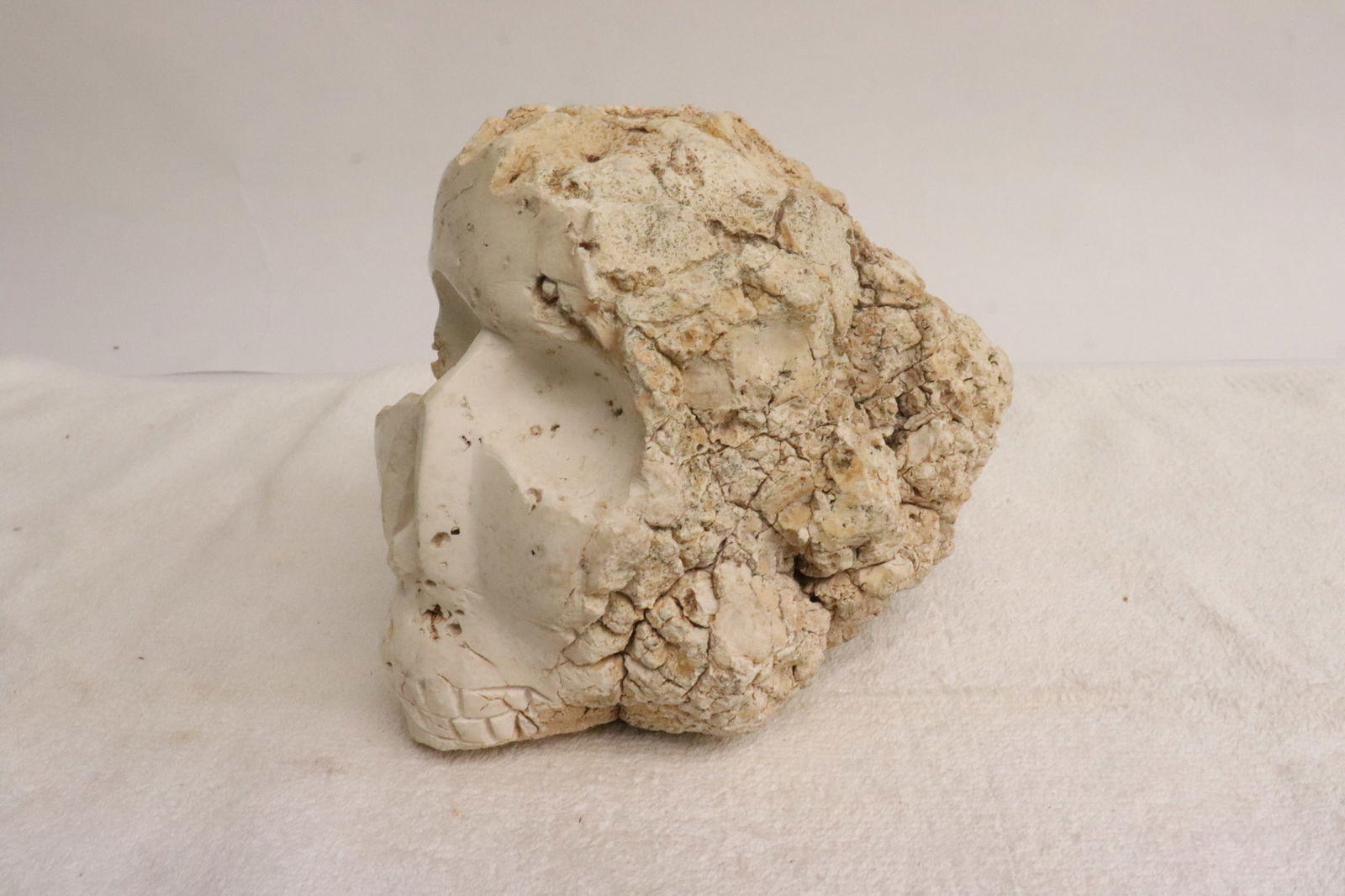 Rare Australian opal carved skull (1 of 6)