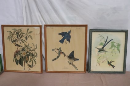 3 antique etchings