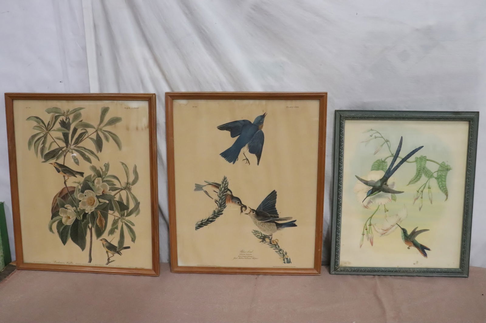 3 antique etchings (1 of 10)