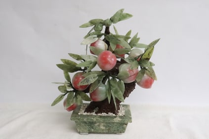 A jade tree