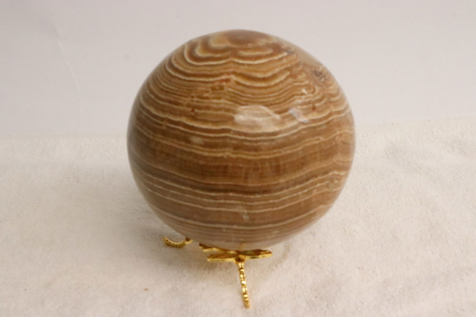Dinosaur fossil ball: Dinosaur fossil ball, 4.35"x4.35"dia