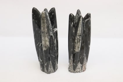 2 large fossil obelisks