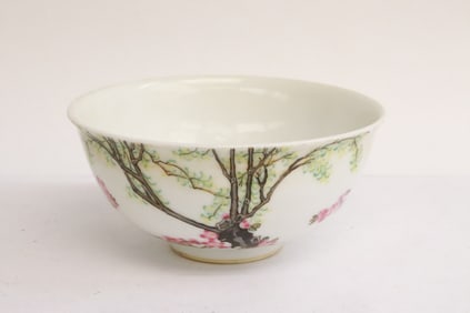 Fine Chinese famille rose porcelain bowl