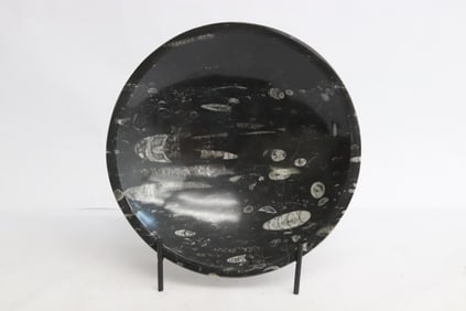 A polish dinosaur fossil bowl