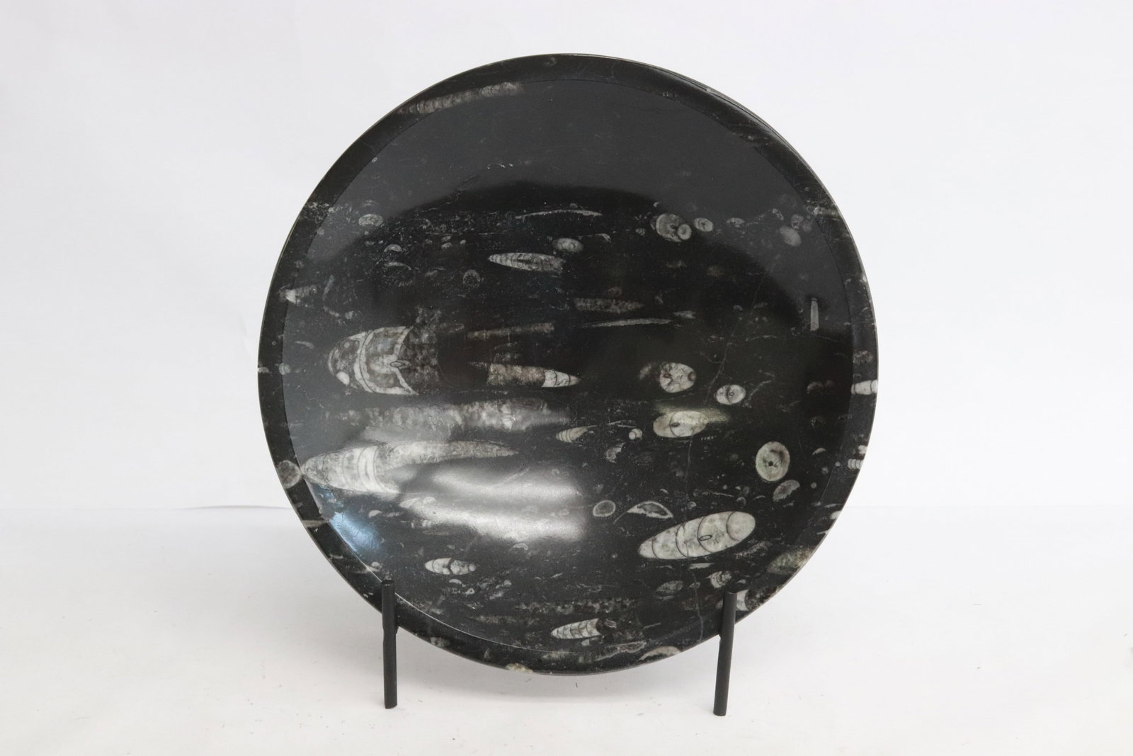 A polish dinosaur fossil bowl: A polish dinosaur fossil bowl, 2"x7.8"dia