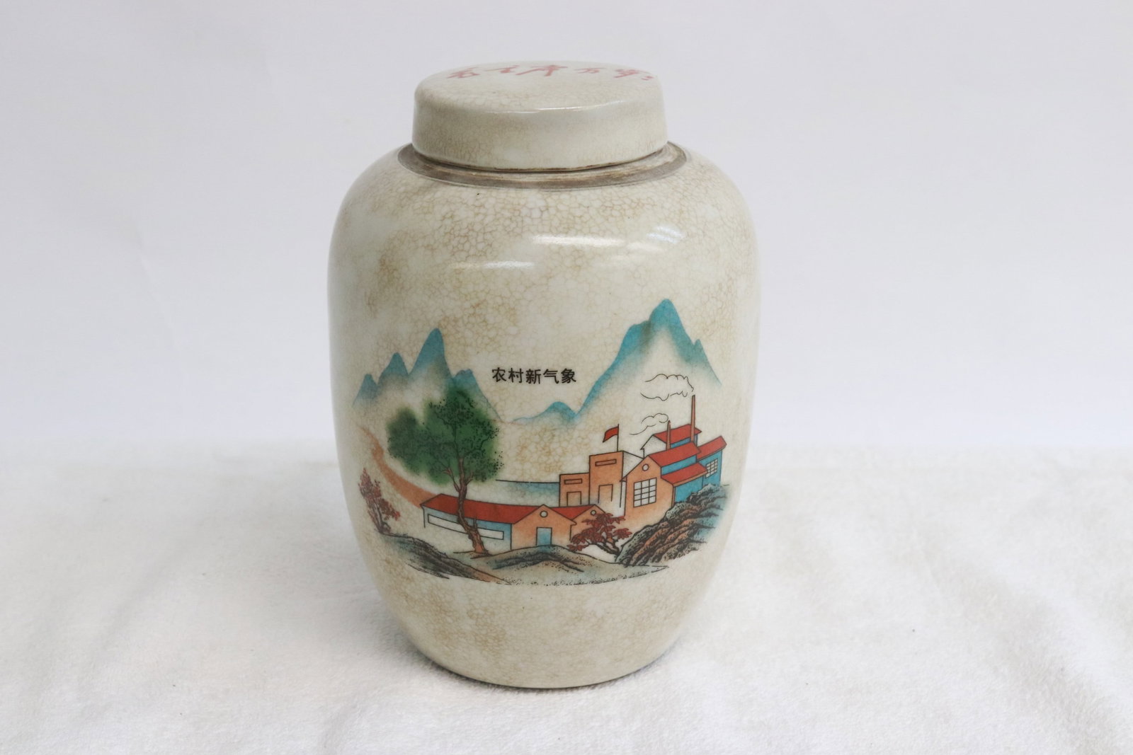 Chinese vintage wucai porcelain covered tea caddy (1 of 8)