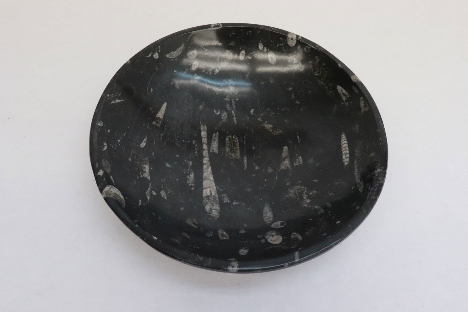 Polished fossil stone bowl/ plate (1 of 4)