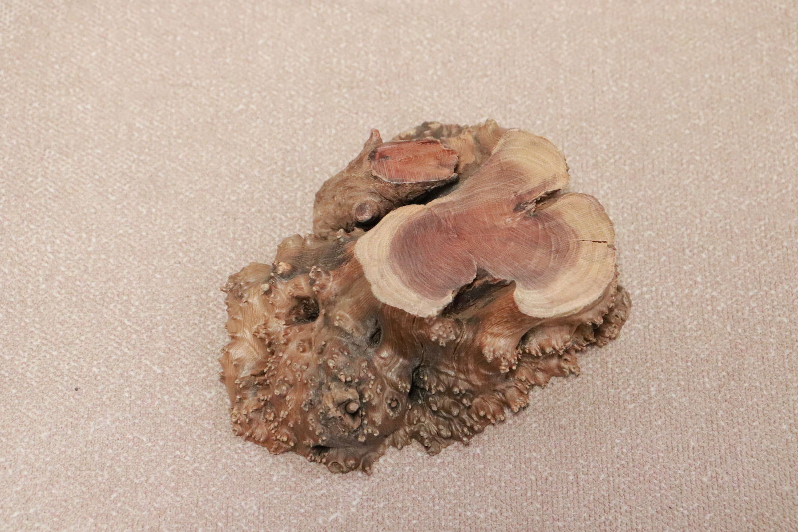 4 Chinese stands - 2