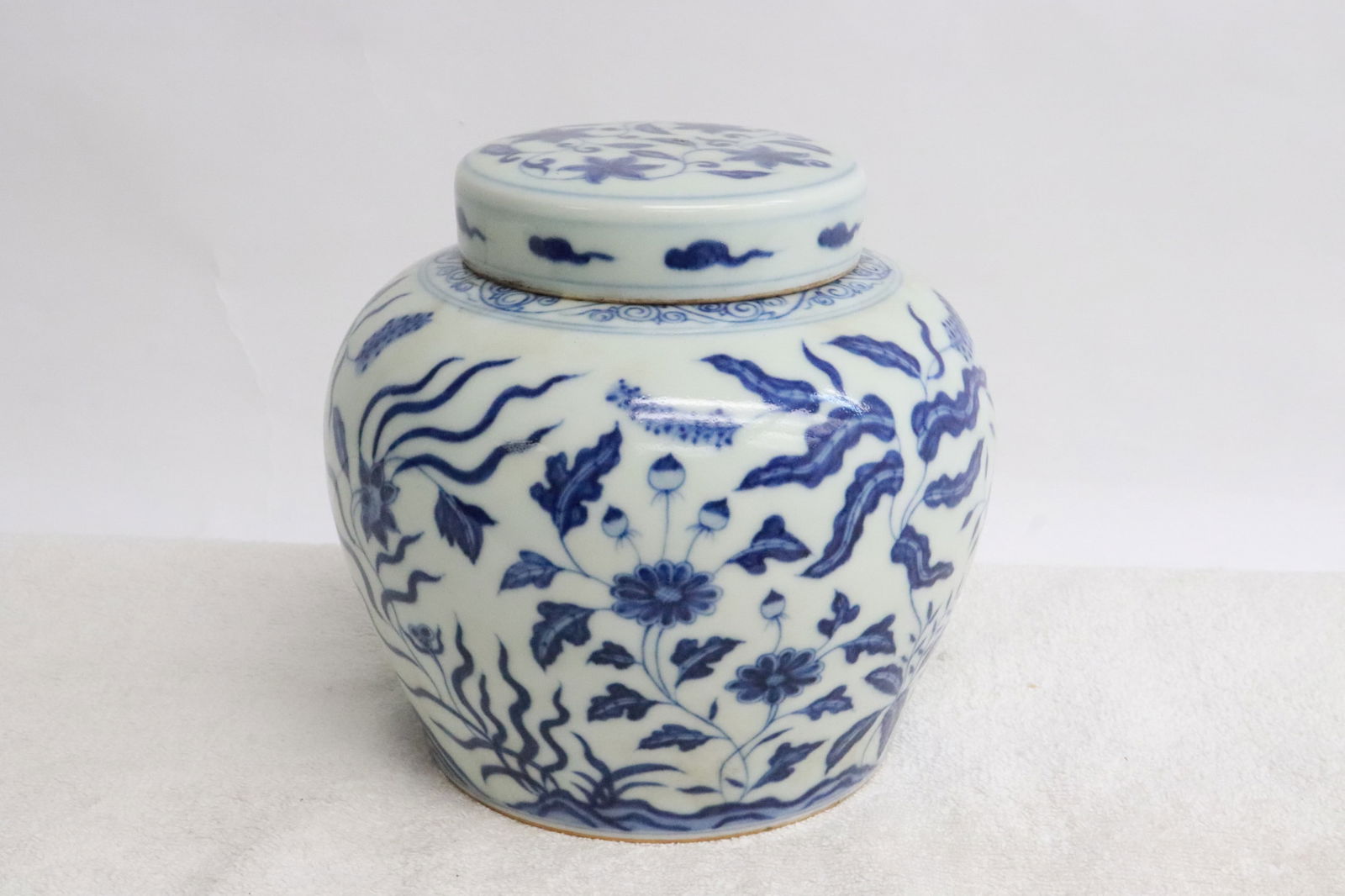 Chinese blue & white porcelain covered tea caddy (1 of 6)