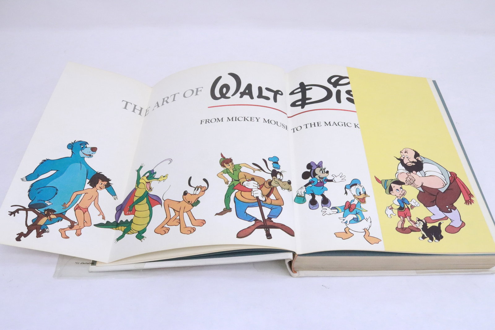 1973 first edition book - 3