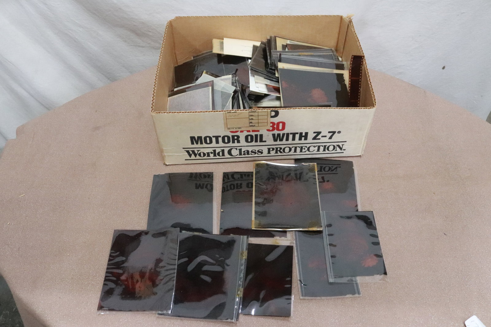 Large lot of photos and negatives: Large lot of photos (3.5"x4.9" - 8.15"x10") and negatives; most are plant related, and from Johnson's garden, California