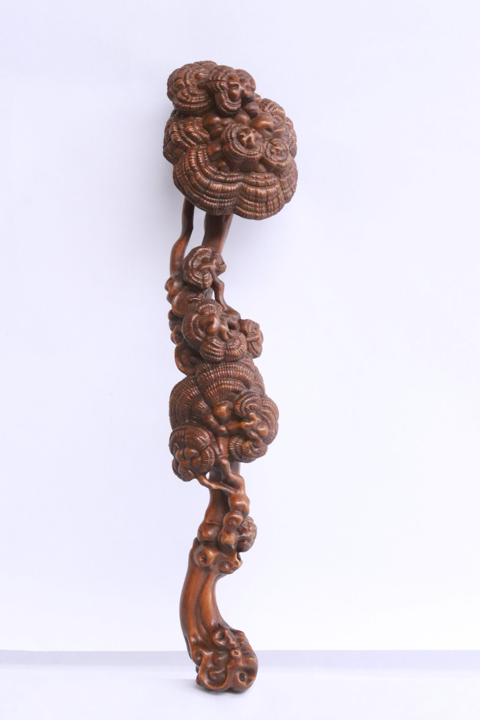 A fine ruyi - 2