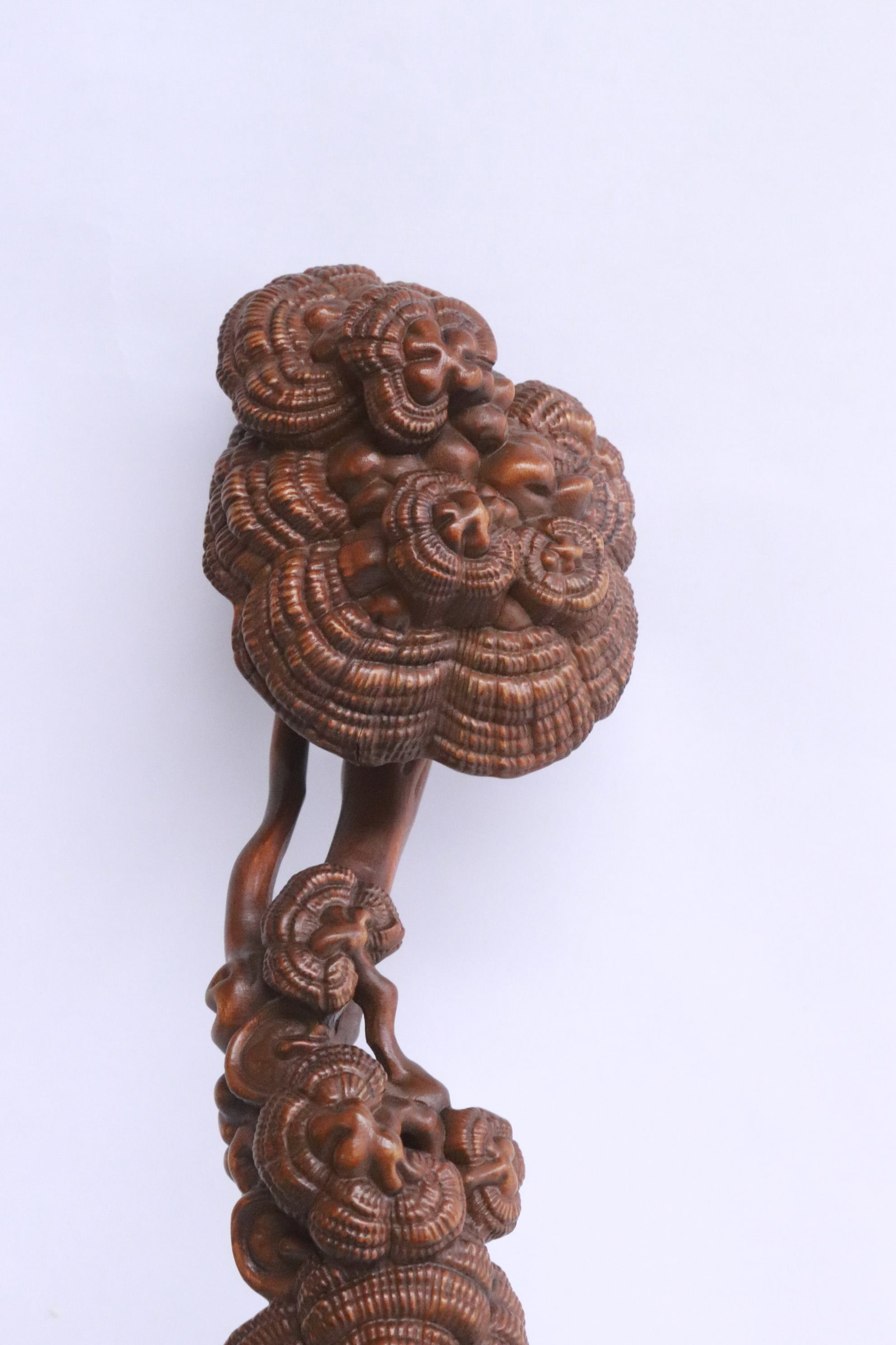 A fine ruyi - 4
