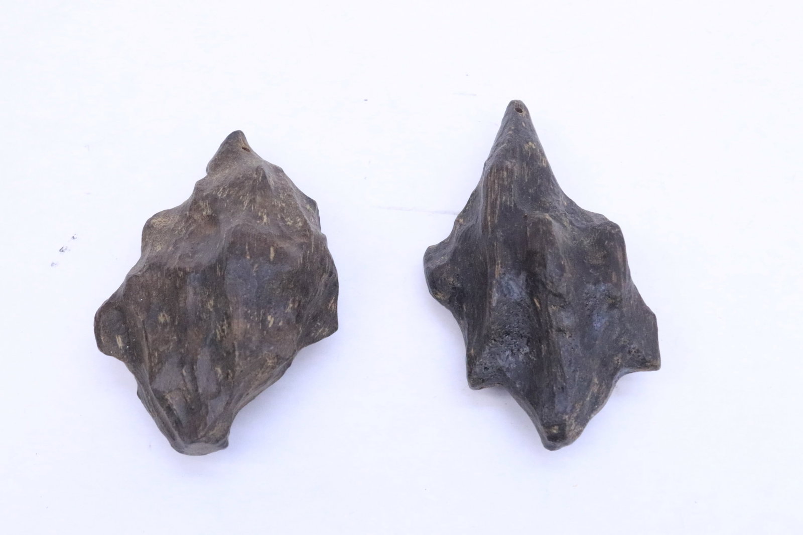 2 wood nuts(?) (1 of 5)
