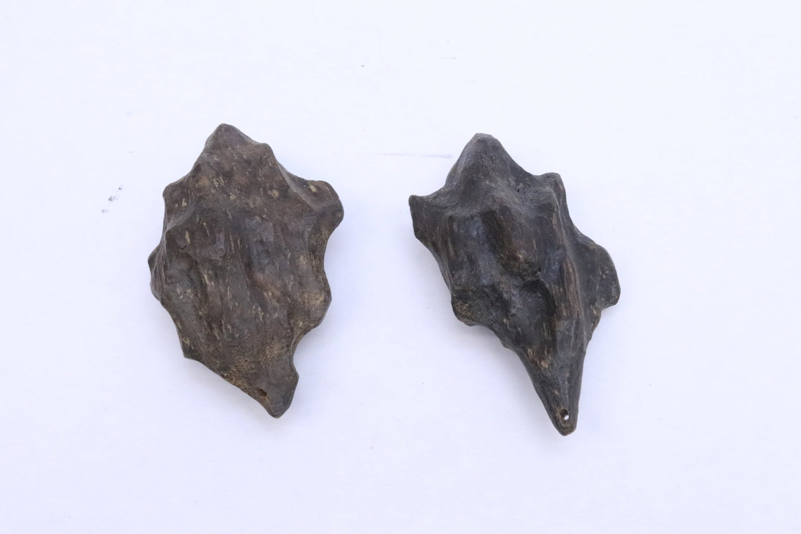 2 wood nuts(?) - 3