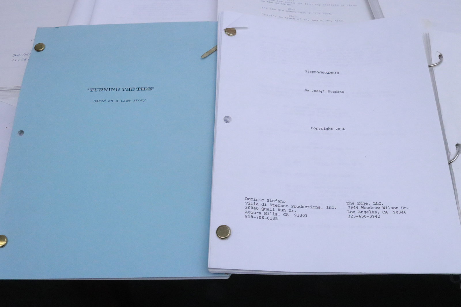 Approx. 20 movie scripts - 2