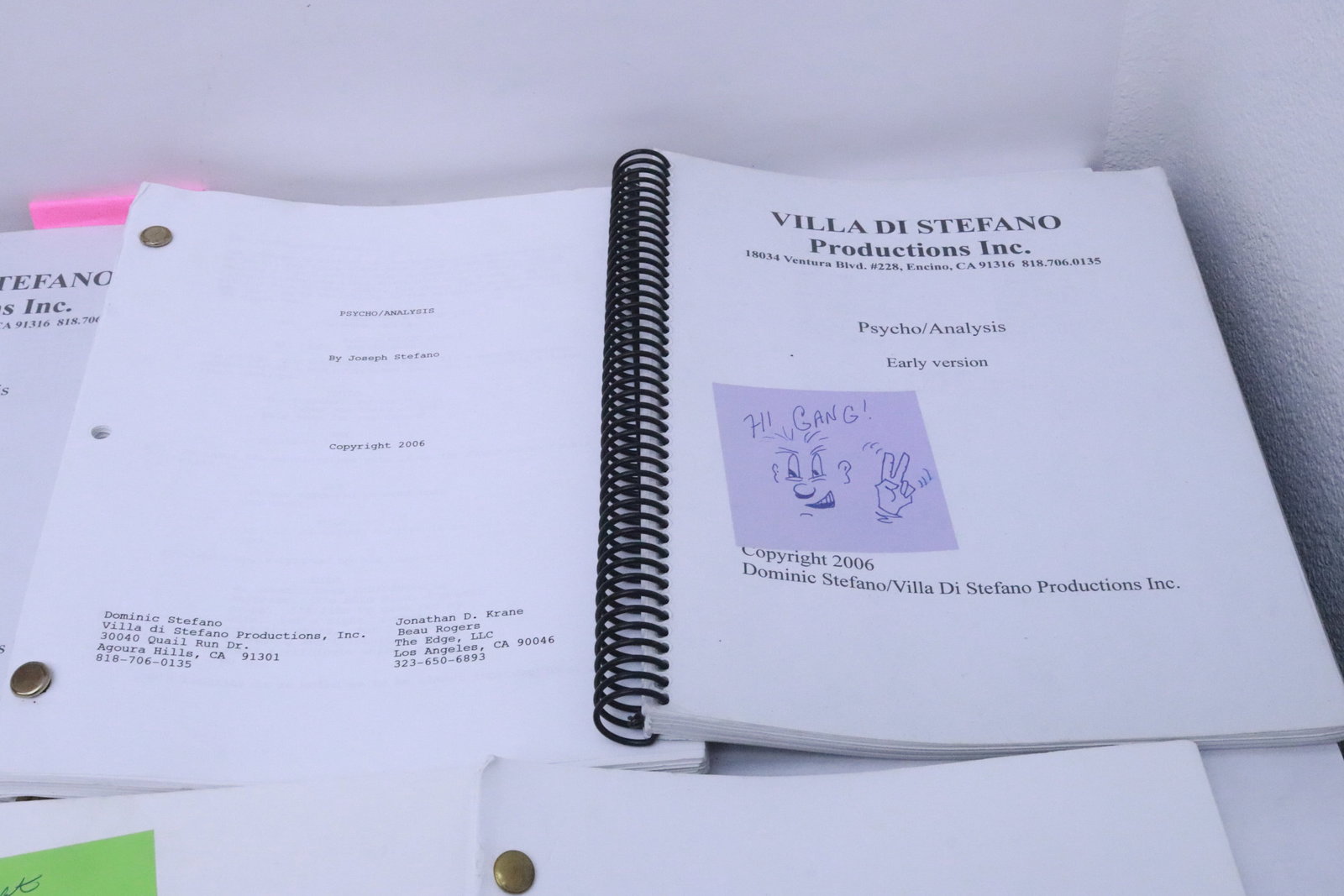 Approx. 20 movie scripts - 8