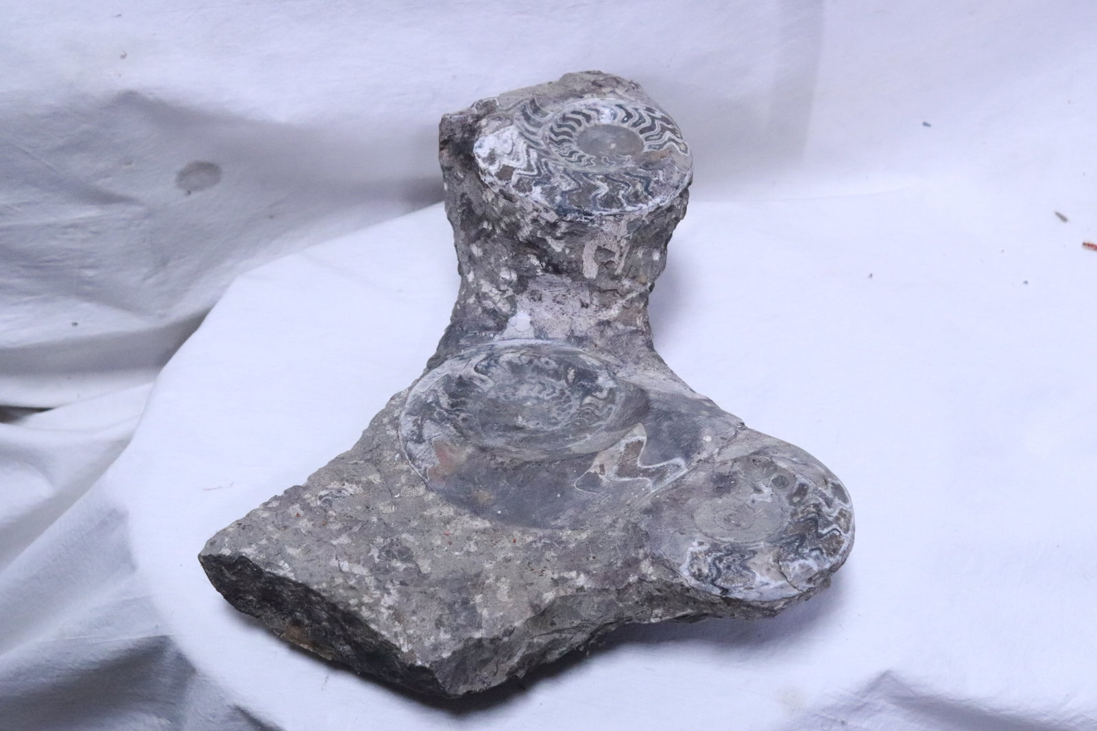 Amethyst fossil clusters in matrix (1 of 6)