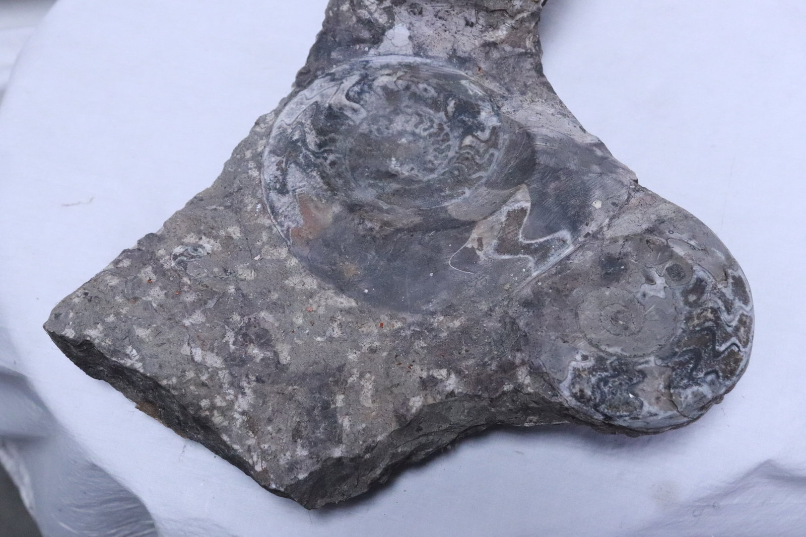 Amethyst fossil clusters in matrix - 3