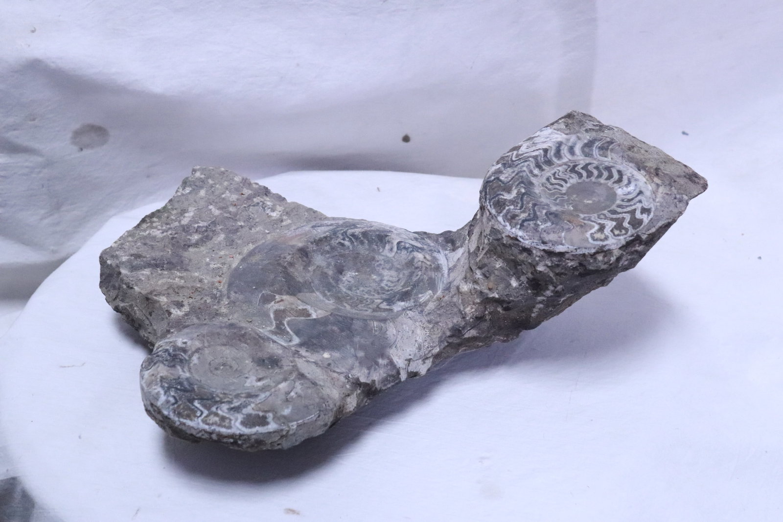 Amethyst fossil clusters in matrix - 4