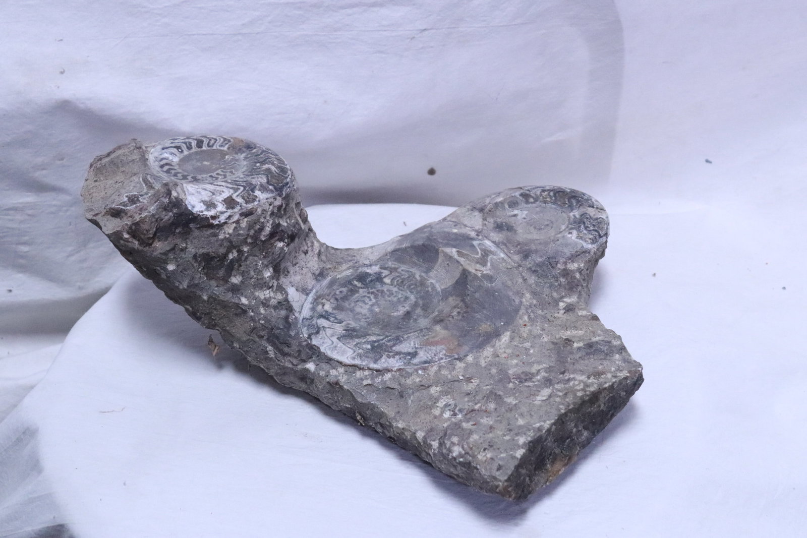 Amethyst fossil clusters in matrix - 5