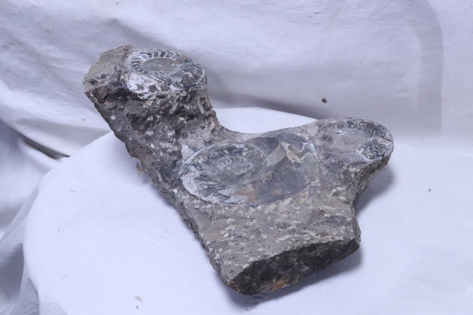 Amethyst fossil clusters in matrix - 6