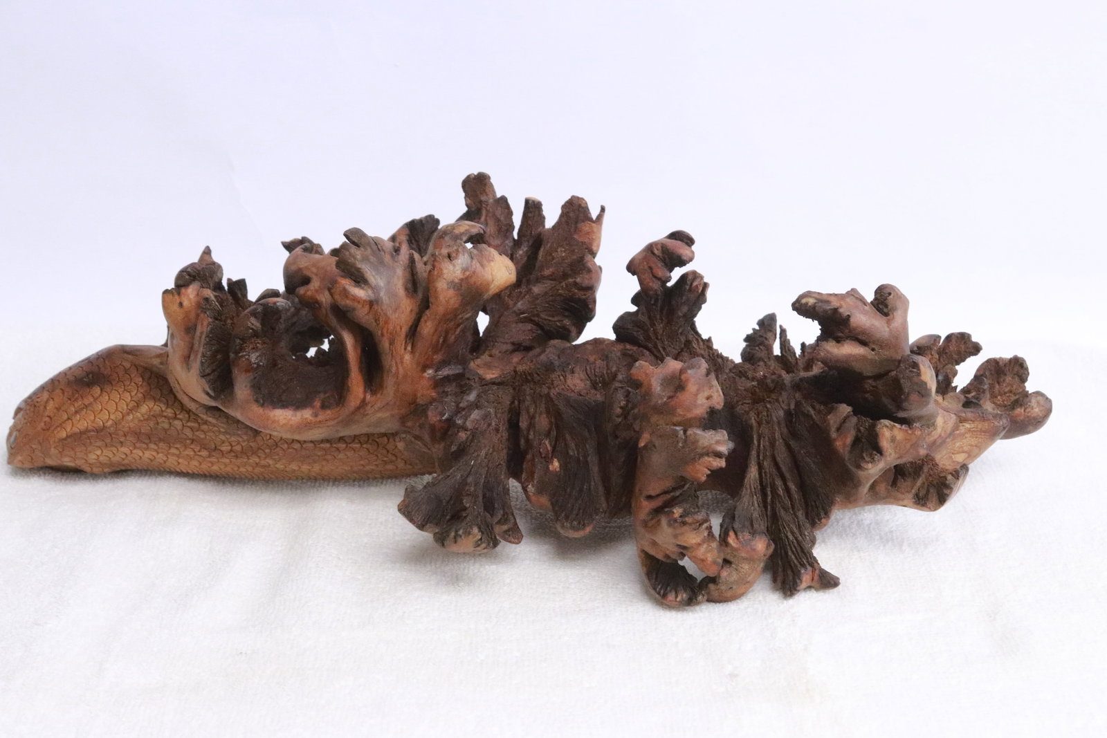 Very fine wood carved lizard: Very fine wood carved lizard, 15"L