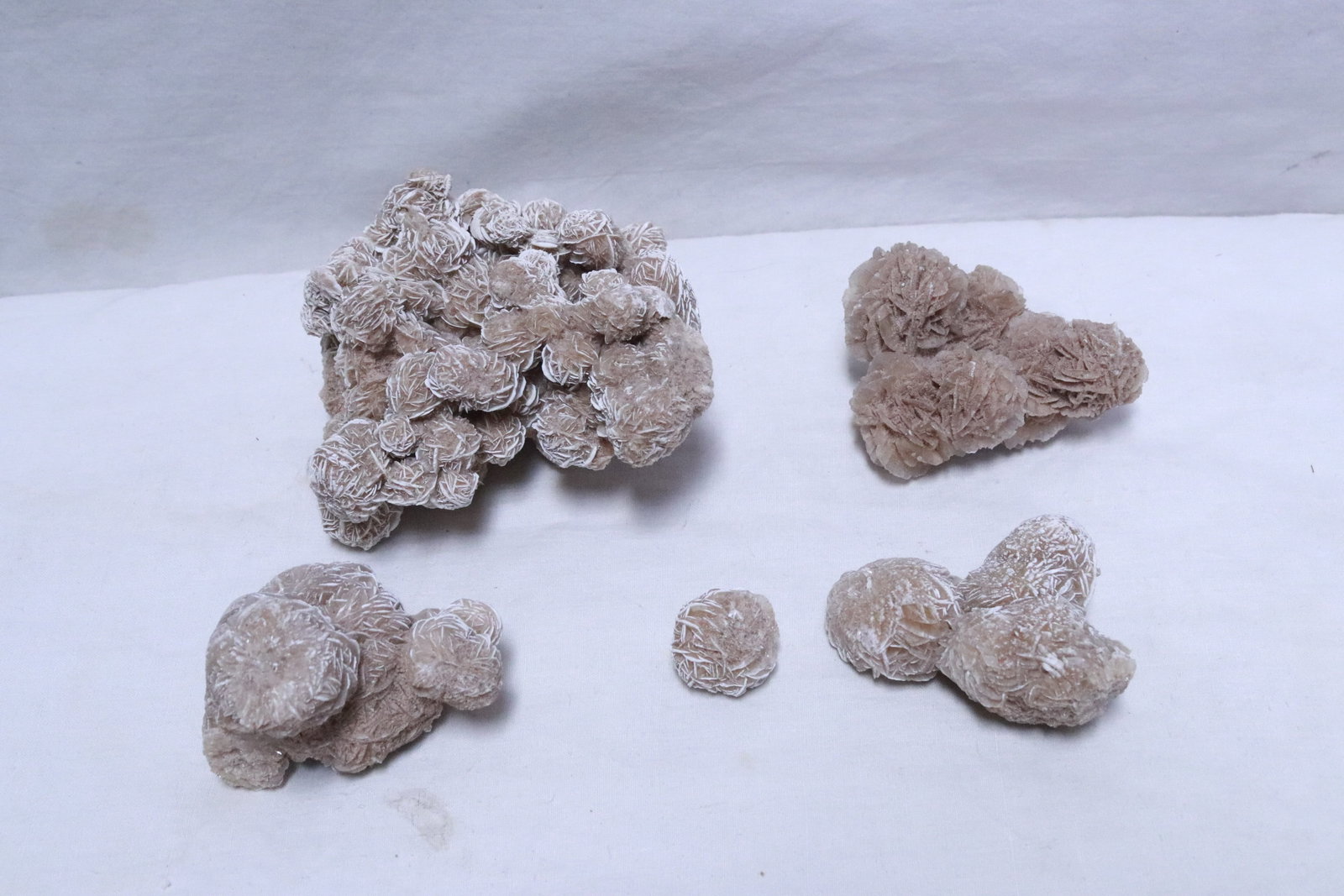 Lot of desert rose selenite: Lot of desert rose selenite, 1.9"x1"dia - 2.7"x5.3"x4.3"
