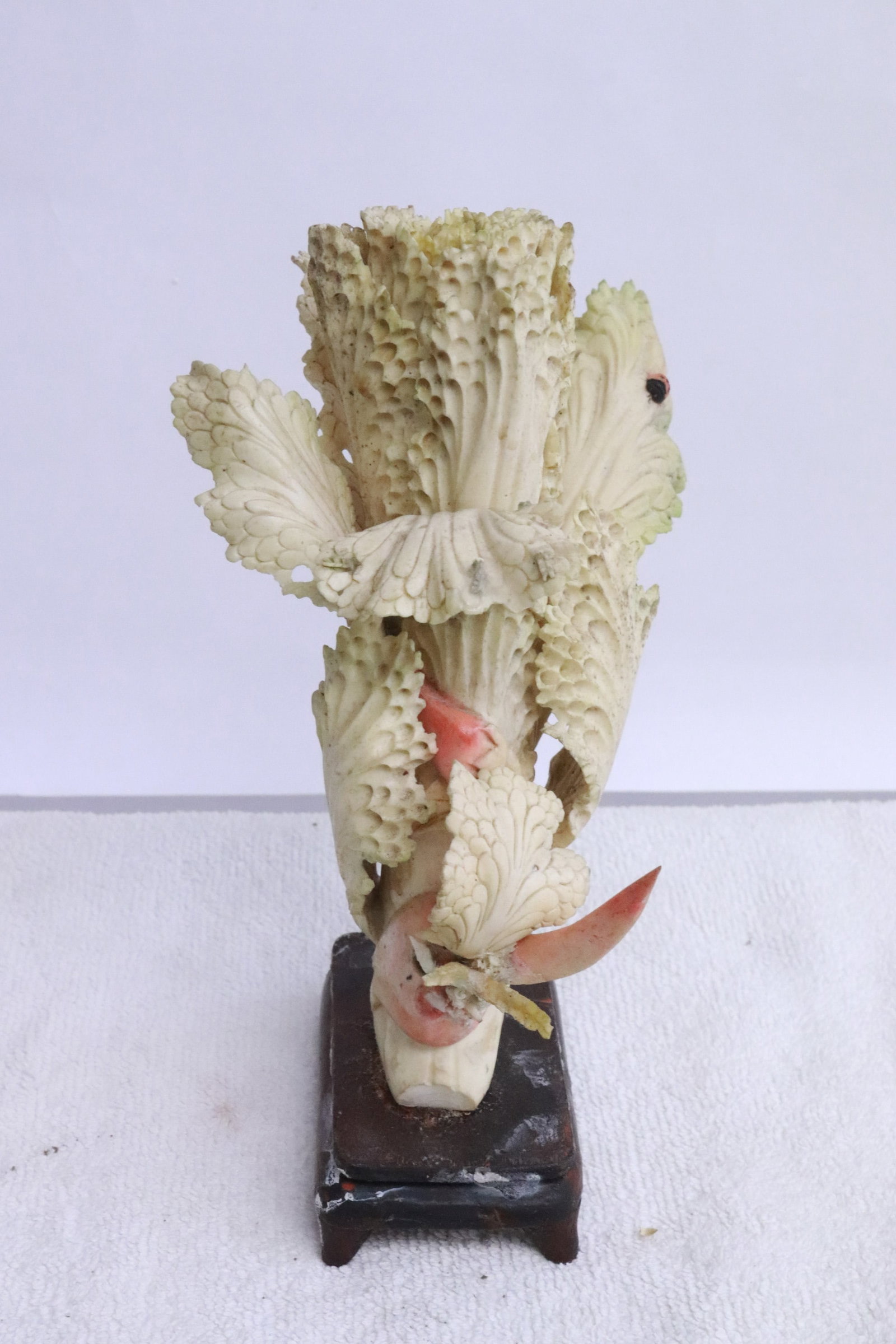 A bone like carving, chips - 2