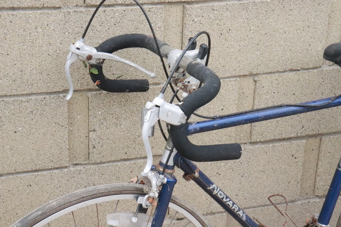 Novara bicycle - 2