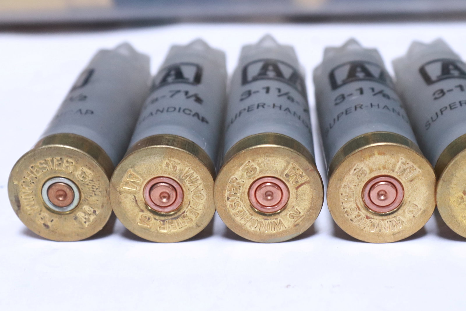 Approx. 500 empty shotgun shells - 4