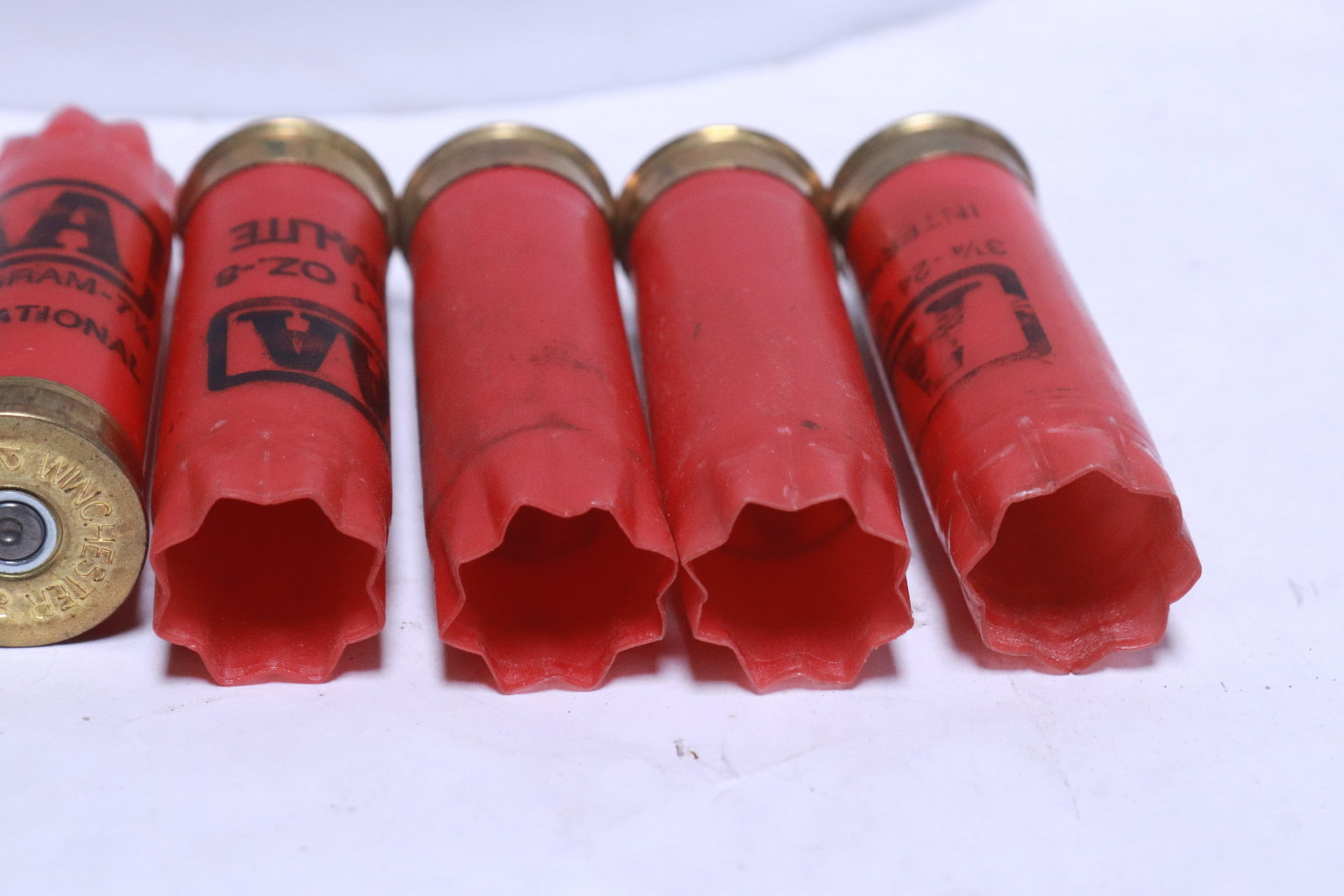 Approx. 500 empty shotgun shells - 4