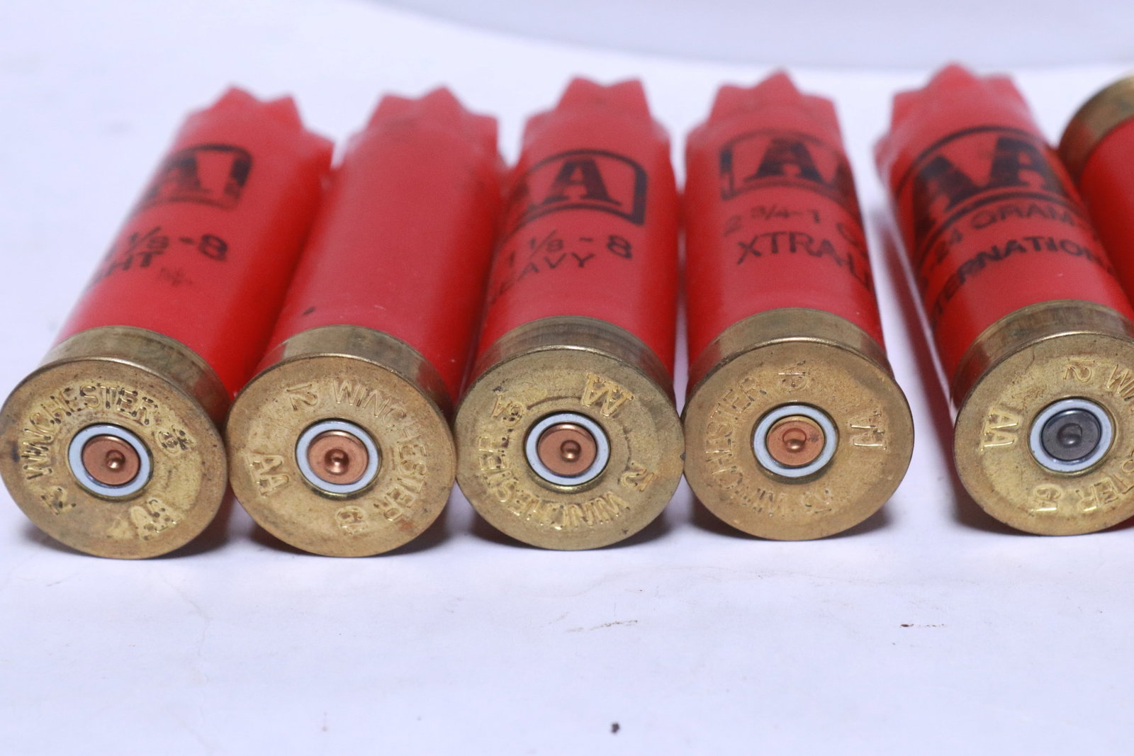 Approx. 500 empty shotgun shells - 5