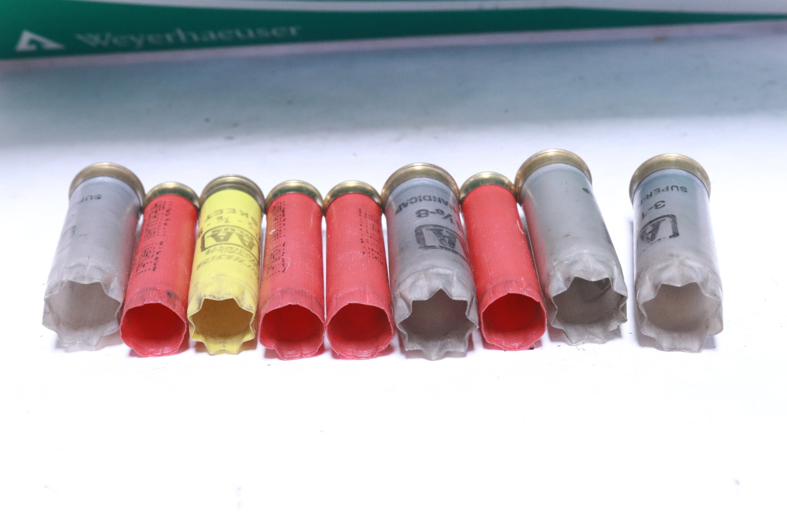 Approx. 500 empty shotgun shells - 4