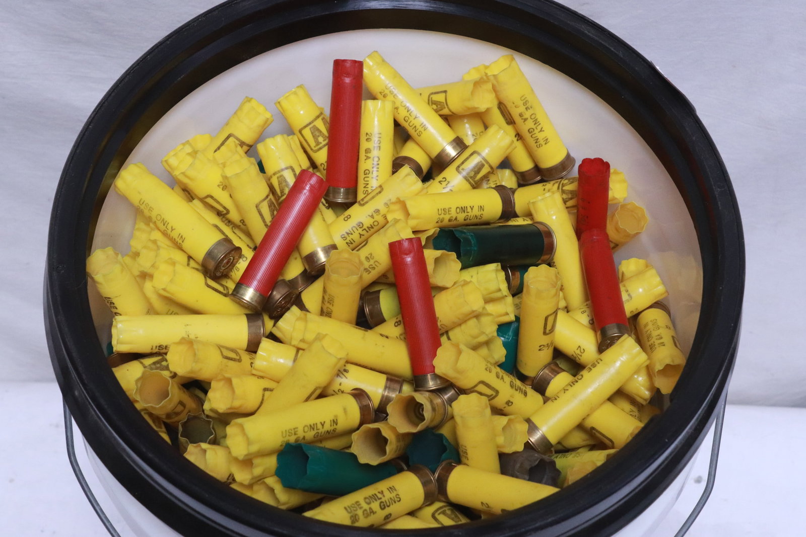 Approx. 500 empty shotgun shells - 2