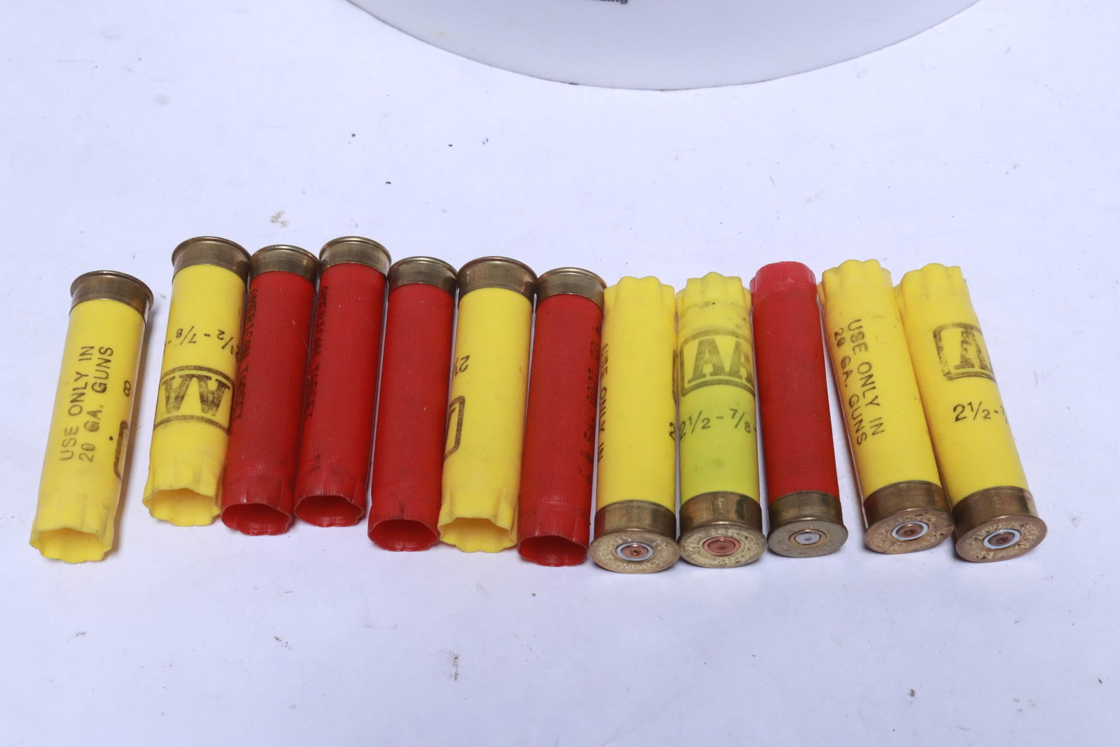 Approx. 500 empty shotgun shells - 4