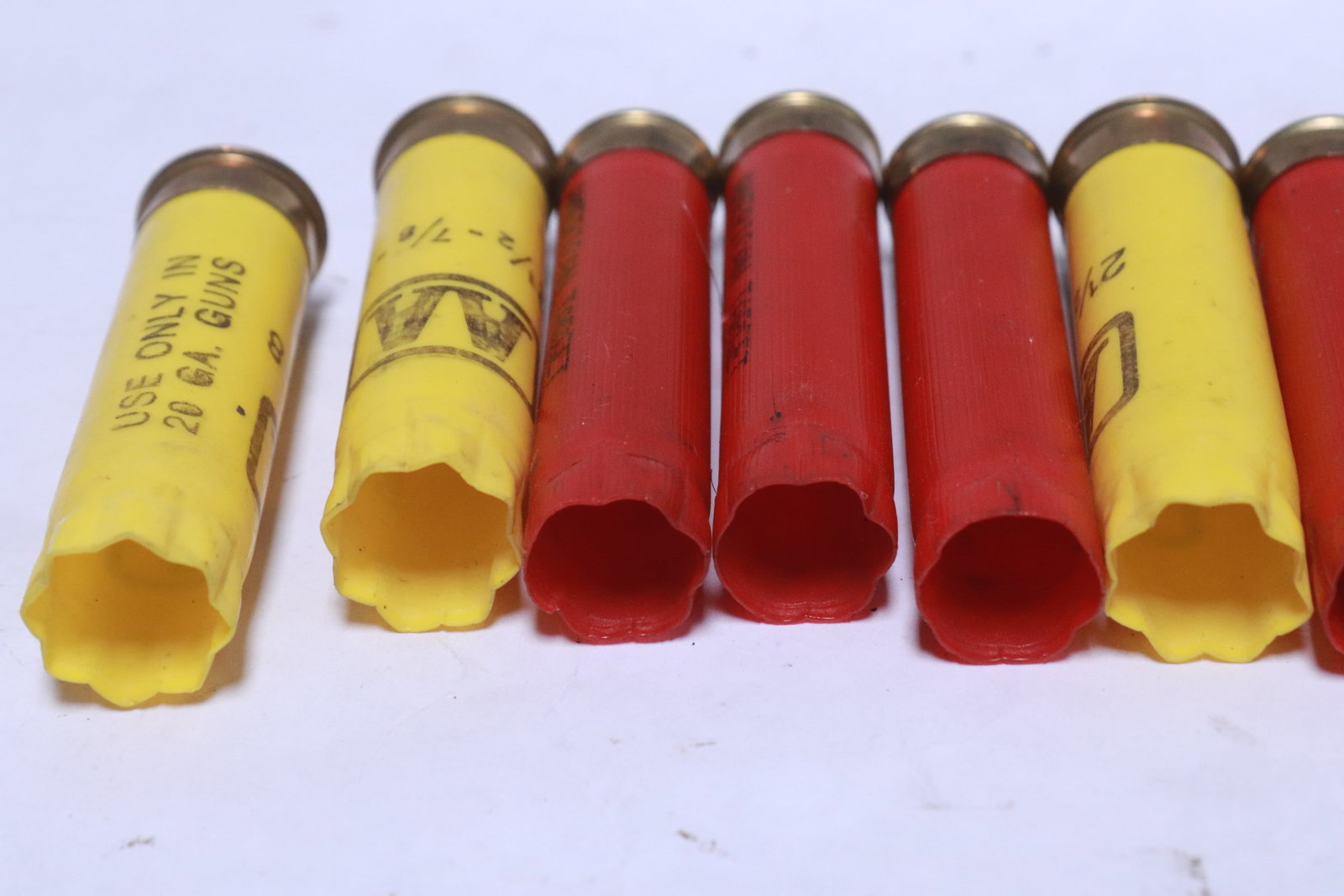 Approx. 500 empty shotgun shells - 5