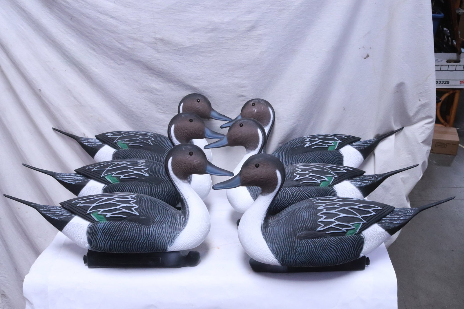 6 G&H plastic hunting decoy: 6 G&H plastic hunting decoy, 13"H ea