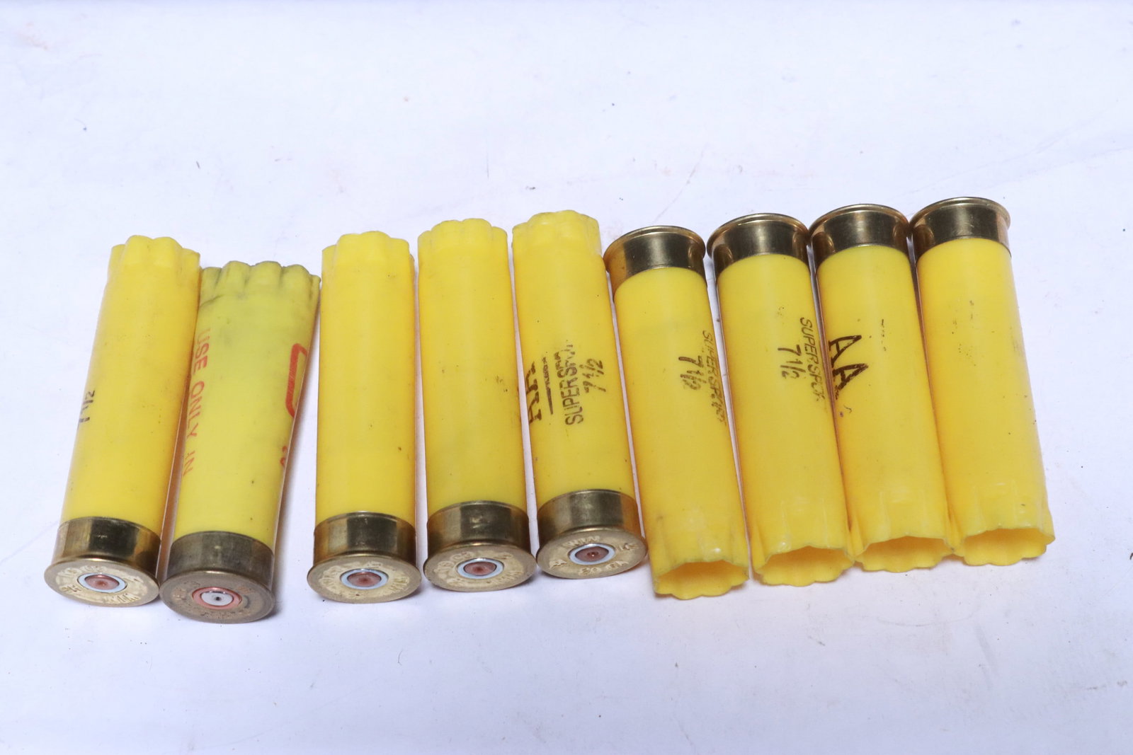 Approx. 500 empty shotgun shells - 3