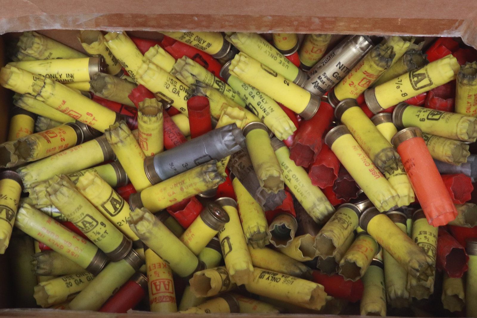 Approx. 800 empty shotgun shells - 3