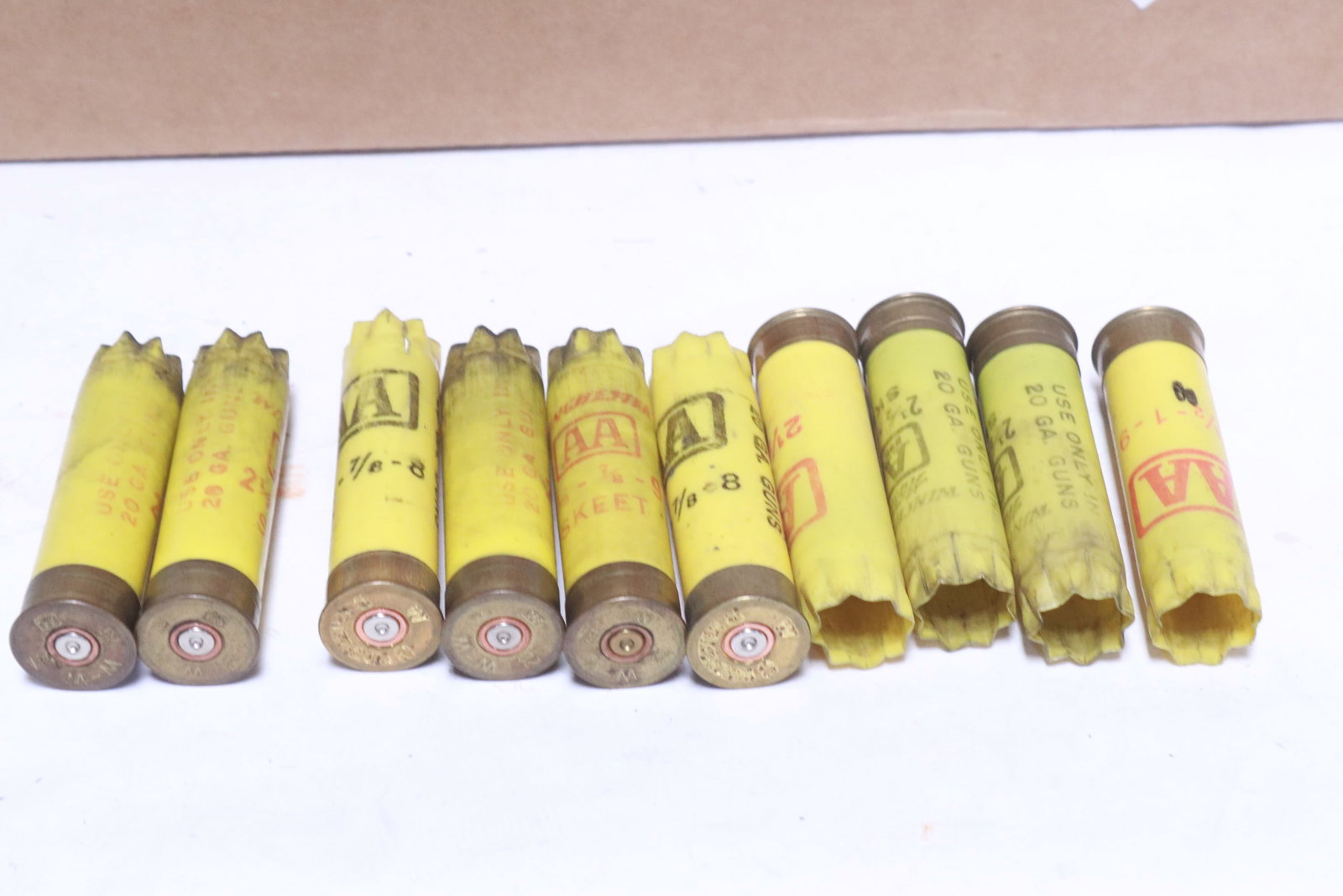 Approx. 800 empty shotgun shells - 5