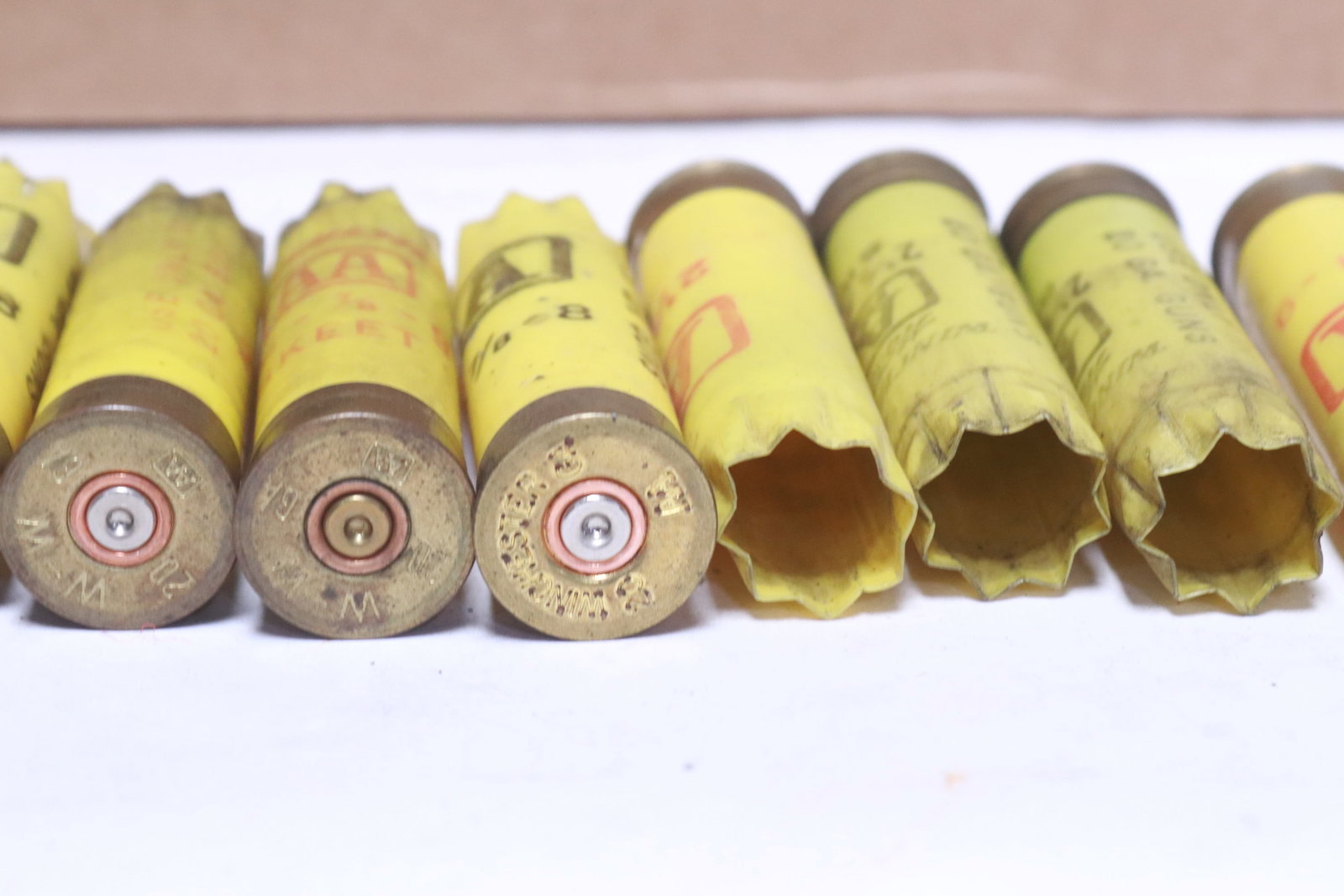 Approx. 800 empty shotgun shells - 6